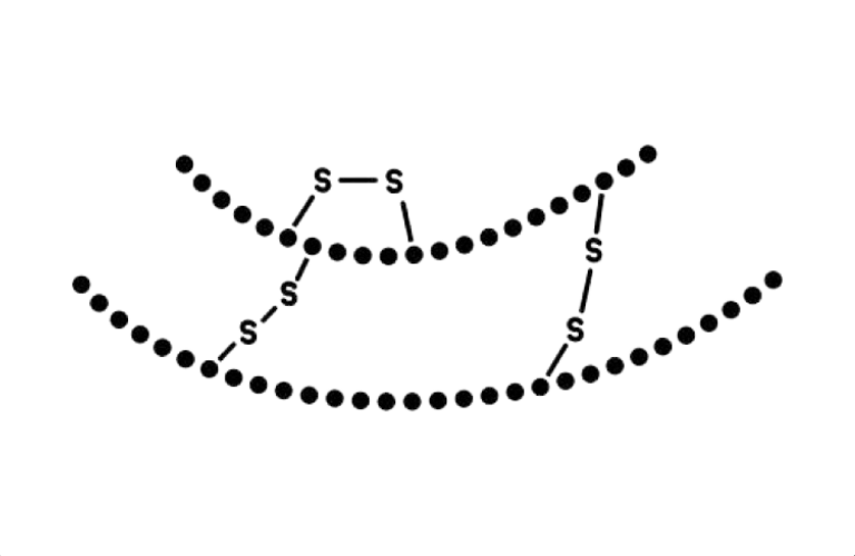 Insulin Resistance - HealthBuddha