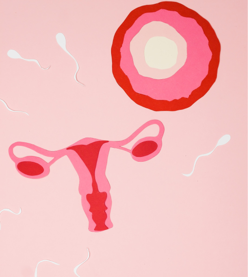 Fertility FAQs - HealthBuddha